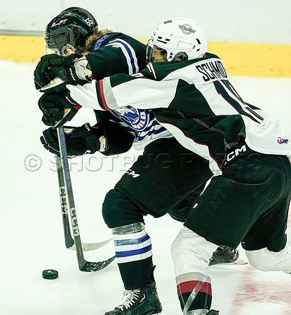 Wes_Shaw_Wenanchee Wild at Vancouver Giants - 75195