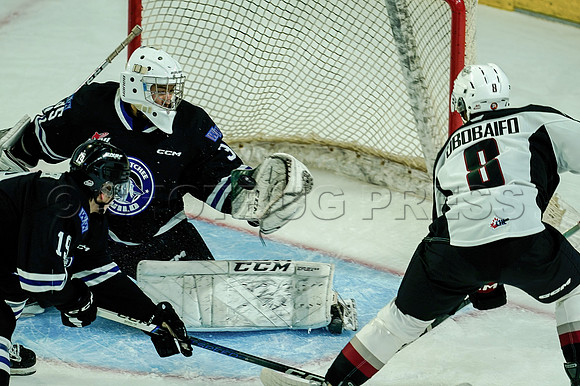Wes_Shaw_Wenanchee Wild at Vancouver Giants - 75200