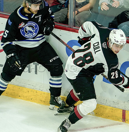 Wes_Shaw_Wenanchee Wild at Vancouver Giants - 75205