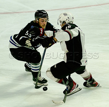 Wes_Shaw_Wenanchee Wild at Vancouver Giants - 75229
