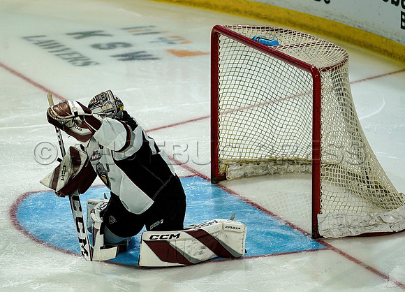 Wes_Shaw_Wenanchee Wild at Vancouver Giants - 75262