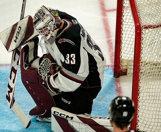 Wes_Shaw_Wenanchee Wild at Vancouver Giants - 75275
