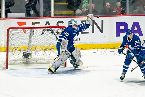 Wed, Mar 30, 2022 The Toronto Marlies clinch a 4-3 win in OT against the Abbotsford Canucks.
