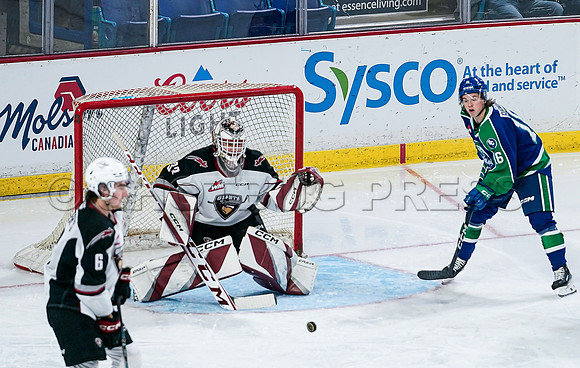 Wes Shaw Swift Current Bronco's at Vancouver Giants  20231013 -86337