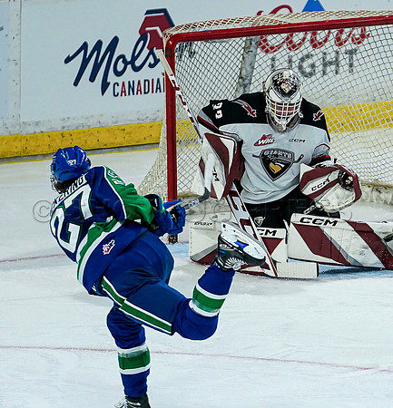 Wes Shaw Swift Current Bronco's at Vancouver Giants  20231013 -86608
