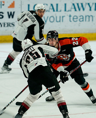 Wes Shaw Vancouver Giants fall to the Medicine Hat Tigers 3-2  20231018 -86895