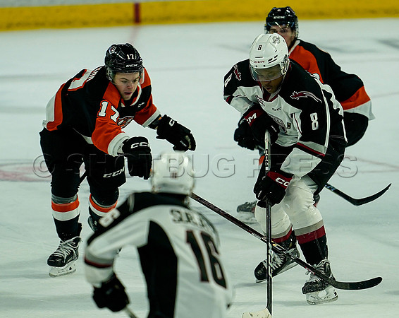 Wes Shaw Vancouver Giants fall to the Medicine Hat Tigers 3-2  20231018 -86897