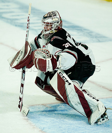 Wes Shaw Vancouver Giants fall to the Medicine Hat Tigers 3-2  20231018 -86904