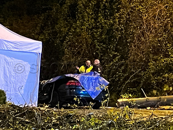 April 12, 2022 One dead after tree crashes on vehicle at Marine Way and River District Crossing in Vancouver