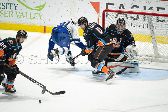 Abbotsford Canucks defeat San Diego Gulls 4-2 on Sunday, Jan 23, 2022 at Abbotsford Centre.