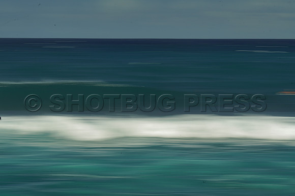 Wes Shaw Surfing 20240907 -214495