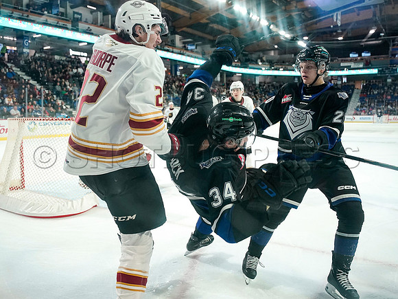 Wes Shaw Victoria Royals slam thhe Giants 6-3 20241214 -256388