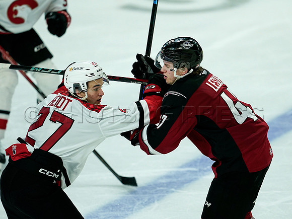 Wes Shaw Prince George Cougars at Vancouver Giants 20250217 -282861