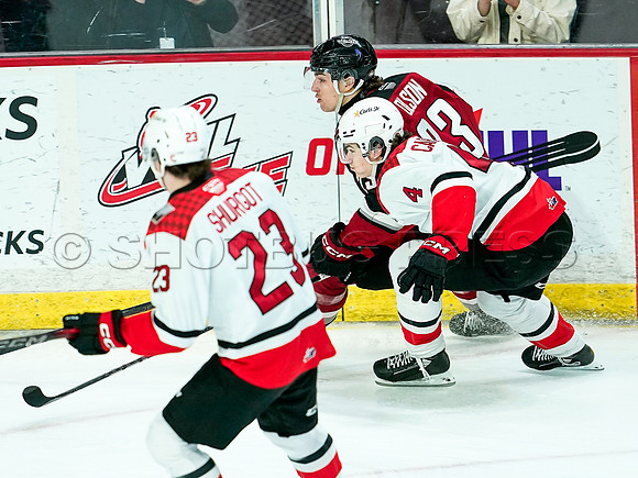Wes Shaw Prince George Cougars at Vancouver Giants 20250217 -283360