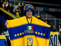 Mexico Tigres Vancouver Whitecaps at Starlight Stadium, in Victoria, BC, Canada, February 7, 2024.