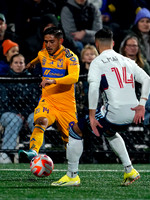 Mexico Tigres Vancouver Whitecaps at Starlight Stadium, in Victoria, BC, Canada, February 7, 2024.