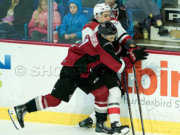 Wes Shaw Prince George Cougars at Vancouver Giants 20250217 -282830