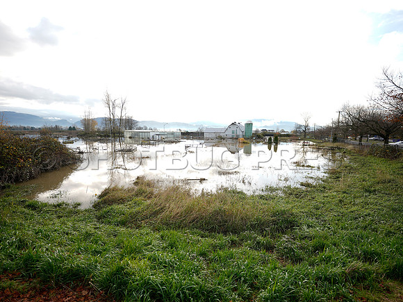 Sumas Prairie, Abbotsford largely under water Saturday Nov 20, 2021 due to flooding from an Atmospheric River system.