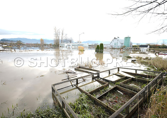 Sumas Prairie, Abbotsford largely under water Saturday Nov 20, 2021 due to flooding from an Atmospheric River system.