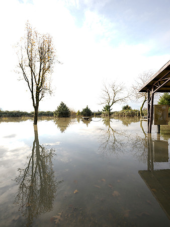 Sumas Prairie, Abbotsford largely under water Saturday Nov 20, 2021 due to flooding from an Atmospheric River system.