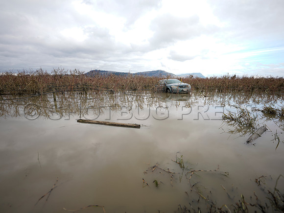 Sumas Prairie, Abbotsford largely under water Saturday Nov 20, 2021 due to flooding from an Atmospheric River system.