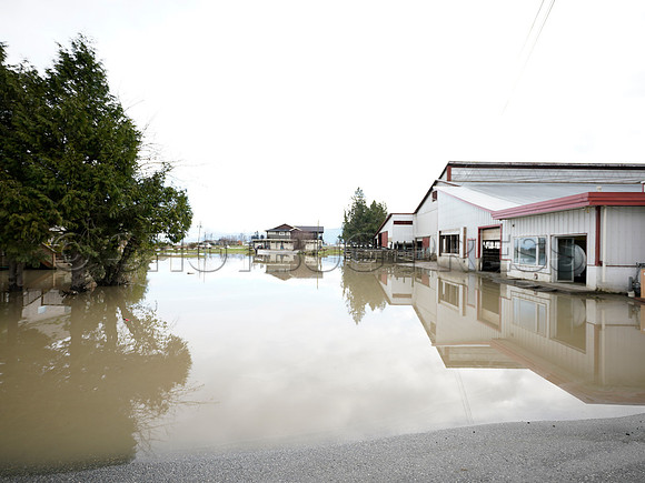 Sumas Prairie, Abbotsford largely under water Saturday Nov 20, 2021 due to flooding from an Atmospheric River system.