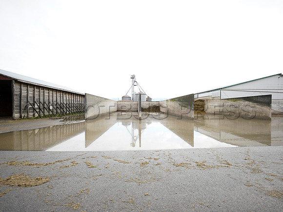 Sumas Prairie, Abbotsford largely under water Saturday Nov 20, 2021 due to flooding from an Atmospheric River system.