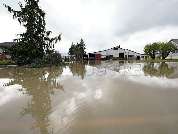 Sumas Prairie, Abbotsford largely under water Saturday Nov 20, 2021 due to flooding from an Atmospheric River system.