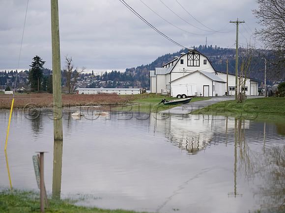 Sumas Prairie, Abbotsford largely under water Saturday Nov 20, 2021 due to flooding from an Atmospheric River system.