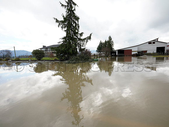 Sumas Prairie, Abbotsford largely under water Saturday Nov 20, 2021 due to flooding from an Atmospheric River system.