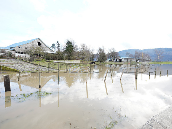 Sumas Prairie, Abbotsford largely under water Saturday Nov 20, 2021 due to flooding from an Atmospheric River system.
