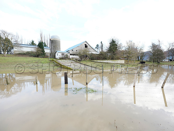 Sumas Prairie, Abbotsford largely under water Saturday Nov 20, 2021 due to flooding from an Atmospheric River system.