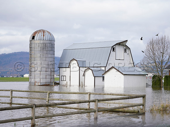 Sumas Prairie, Abbotsford largely under water Saturday Nov 20, 2021 due to flooding from an Atmospheric River system.