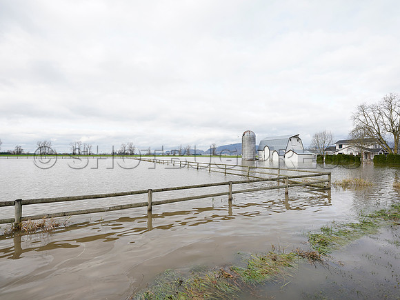 Sumas Prairie, Abbotsford largely under water Saturday Nov 20, 2021 due to flooding from an Atmospheric River system.