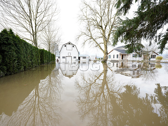 Sumas Prairie, Abbotsford largely under water Saturday Nov 20, 2021 due to flooding from an Atmospheric River system.