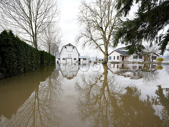 Sumas Prairie, Abbotsford largely under water Saturday Nov 20, 2021 due to flooding from an Atmospheric River system.
