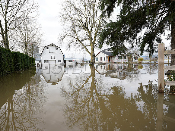 Sumas Prairie, Abbotsford largely under water Saturday Nov 20, 2021 due to flooding from an Atmospheric River system.