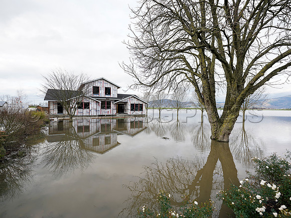 Sumas Prairie, Abbotsford largely under water Saturday Nov 20, 2021 due to flooding from an Atmospheric River system.