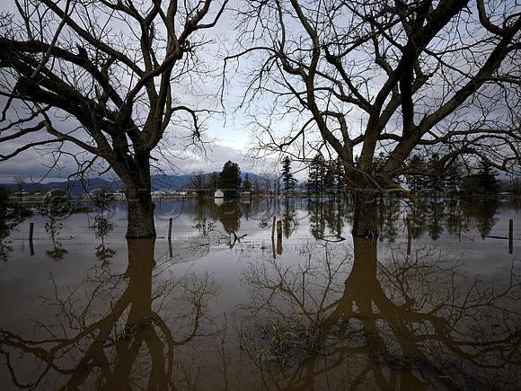 Sumas Prairie, Abbotsford largely under water Saturday Nov 20, 2021 due to flooding from an Atmospheric River system.