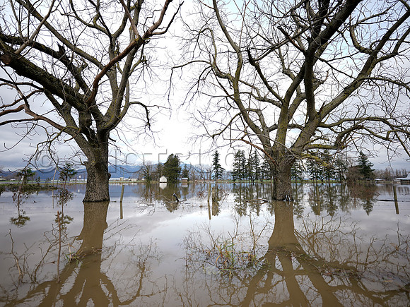 Sumas Prairie, Abbotsford largely under water Saturday Nov 20, 2021 due to flooding from an Atmospheric River system.
