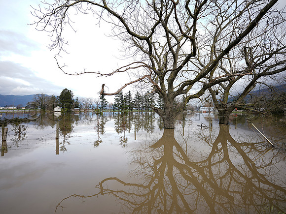 Sumas Prairie, Abbotsford largely under water Saturday Nov 20, 2021 due to flooding from an Atmospheric River system.