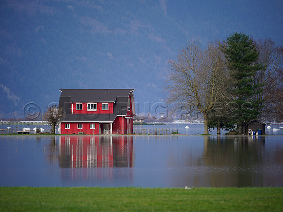 Sumas Prairie, Abbotsford largely under water Saturday Nov 20, 2021 due to flooding from an Atmospheric River system.