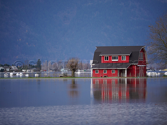 Sumas Prairie, Abbotsford largely under water Saturday Nov 20, 2021 due to flooding from an Atmospheric River system.