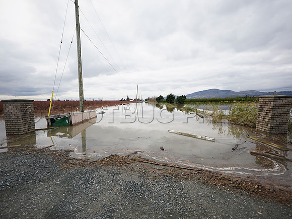 Sumas Prairie, Abbotsford largely under water Saturday Nov 20, 2021 due to flooding from an Atmospheric River system.
