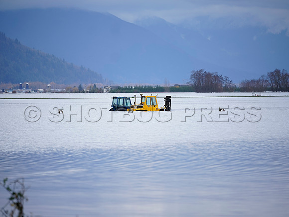 Sumas Prairie, Abbotsford largely under water Saturday Nov 20, 2021 due to flooding from an Atmospheric River system.