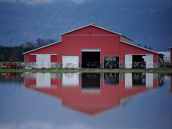Sumas Prairie, Abbotsford largely under water Saturday Nov 20, 2021 due to flooding from an Atmospheric River system.