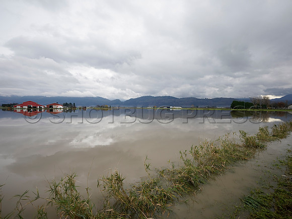Sumas Prairie, Abbotsford largely under water Saturday Nov 20, 2021 due to flooding from an Atmospheric River system.