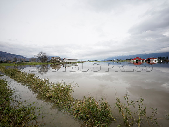 Sumas Prairie, Abbotsford largely under water Saturday Nov 20, 2021 due to flooding from an Atmospheric River system.