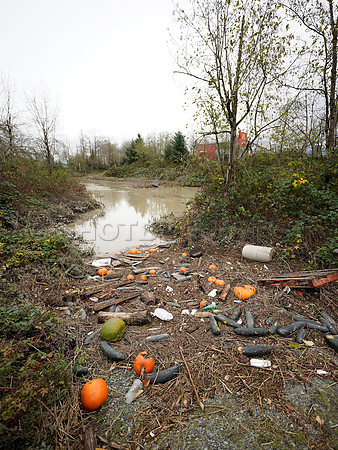 Sumas Prairie, Abbotsford largely under water Saturday Nov 20, 2021 due to flooding from an Atmospheric River system.
