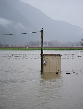 Sumas Prairie, Abbotsford still largely under water Thursday Nov 25, 2021